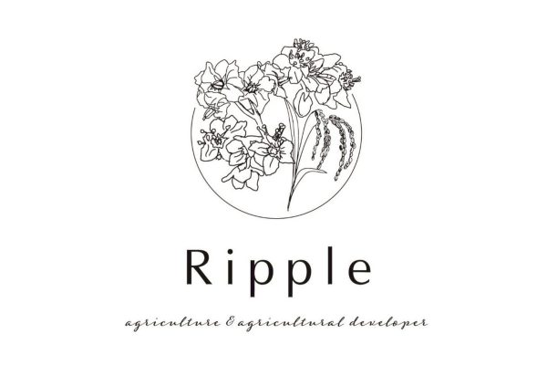ripple